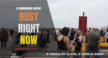 Birmingham Airport: Current Passenger Traffic and Wait Times