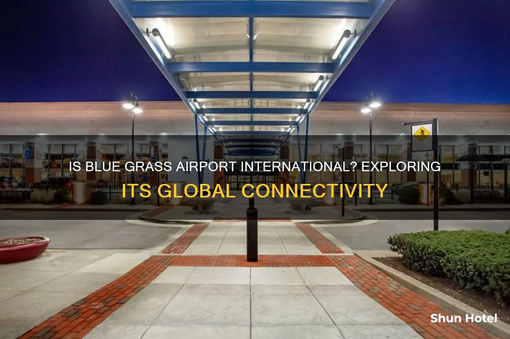 is blue grass airport an international airport