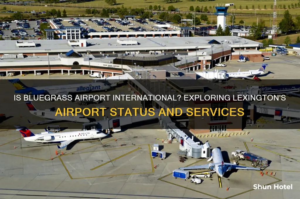 is bluegrass airport international