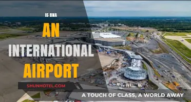 Is BNA an International Airport? Exploring Nashville's Global Connectivity