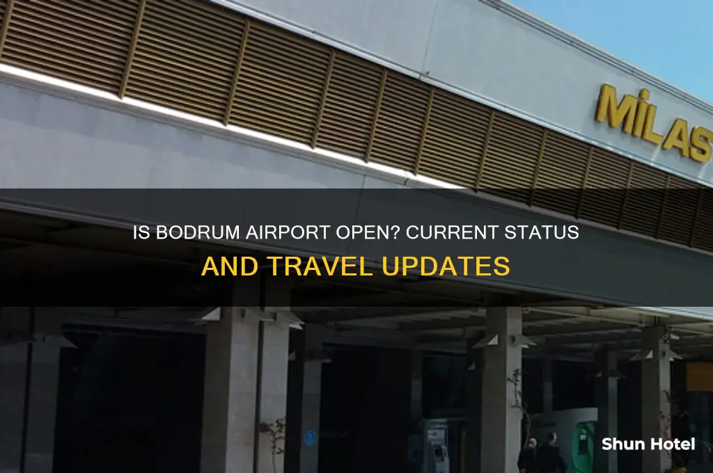 is bodrum airport open