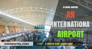 Is Boise Airport International? Exploring Its Global Flight Capabilities