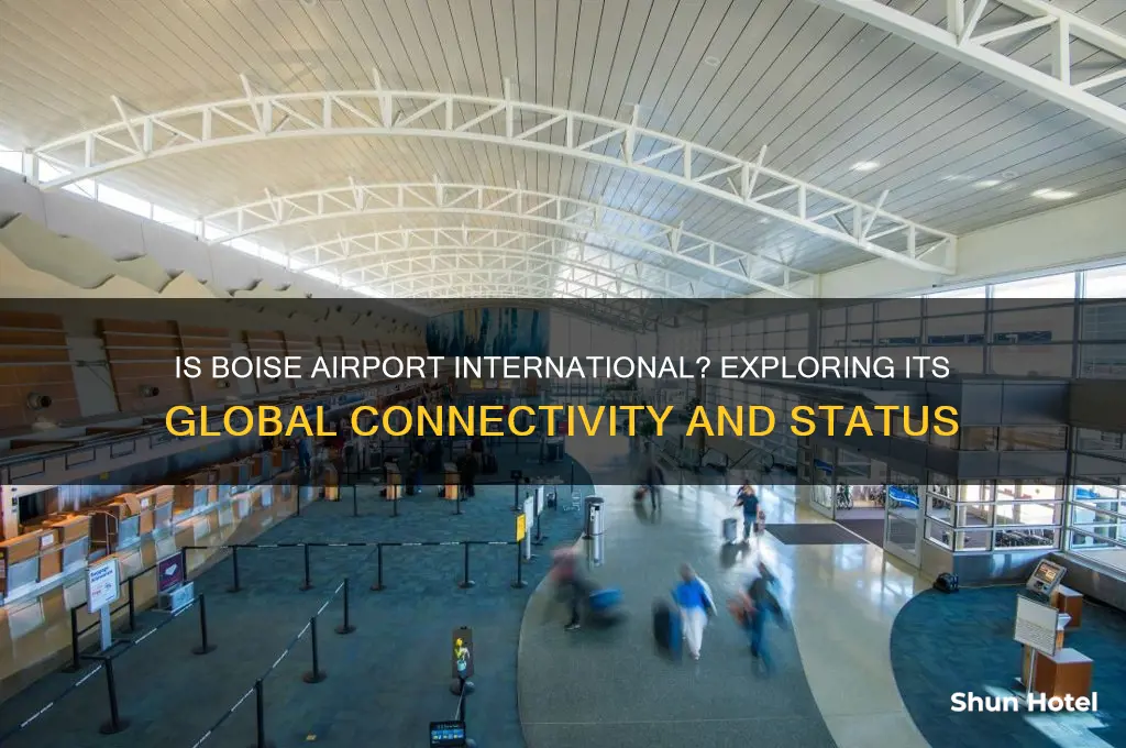 is boise airport international
