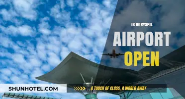 Is Boryspil Airport Open? Current Status and Travel Updates
