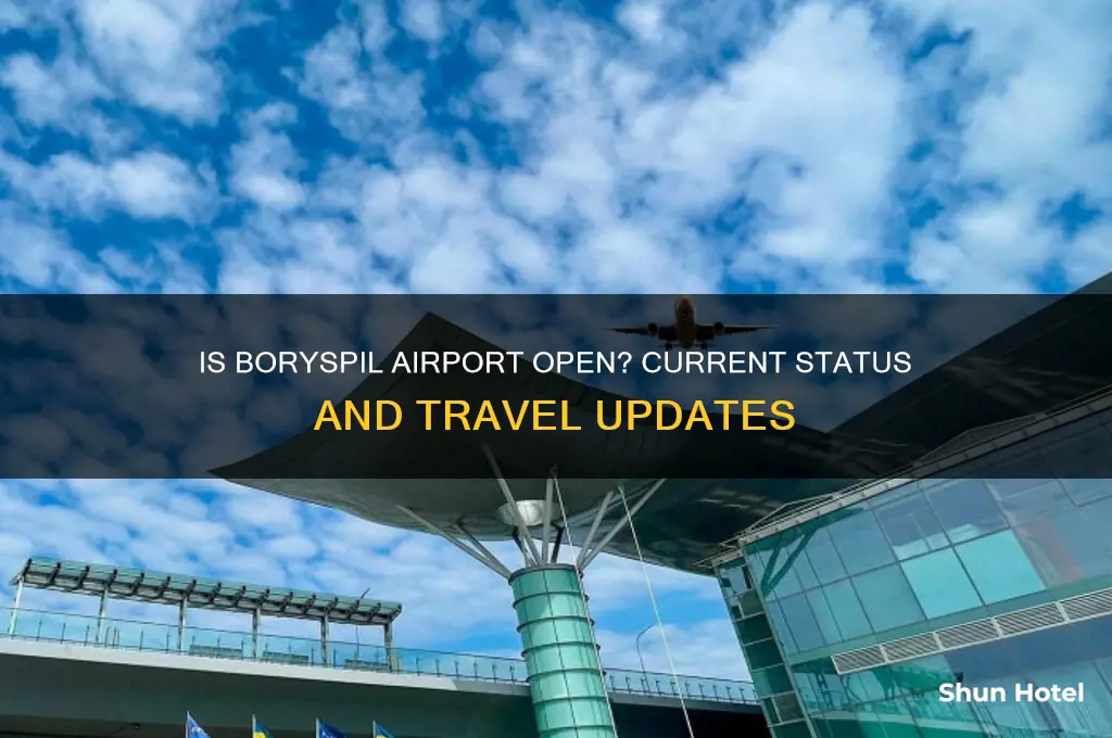 is boryspil airport open