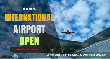 Is Boryspil International Airport Open? Current Status and Updates