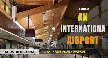 Is Bozeman Airport International? Exploring Its Global Connectivity and Status