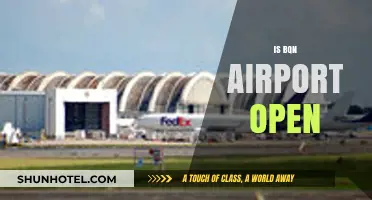 Is BQN Airport Open? Current Status and Travel Updates