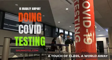Covid Testing Availability at Bradley Airport: What to Know