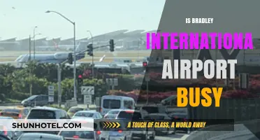 Is Bradley International Airport Busy? Exploring Passenger Traffic and Trends