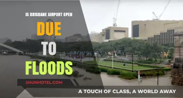 Brisbane Airport Flood Update: Current Status and Travel Disruptions
