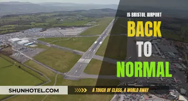 Bristol Airport: Back to Business as Usual?
