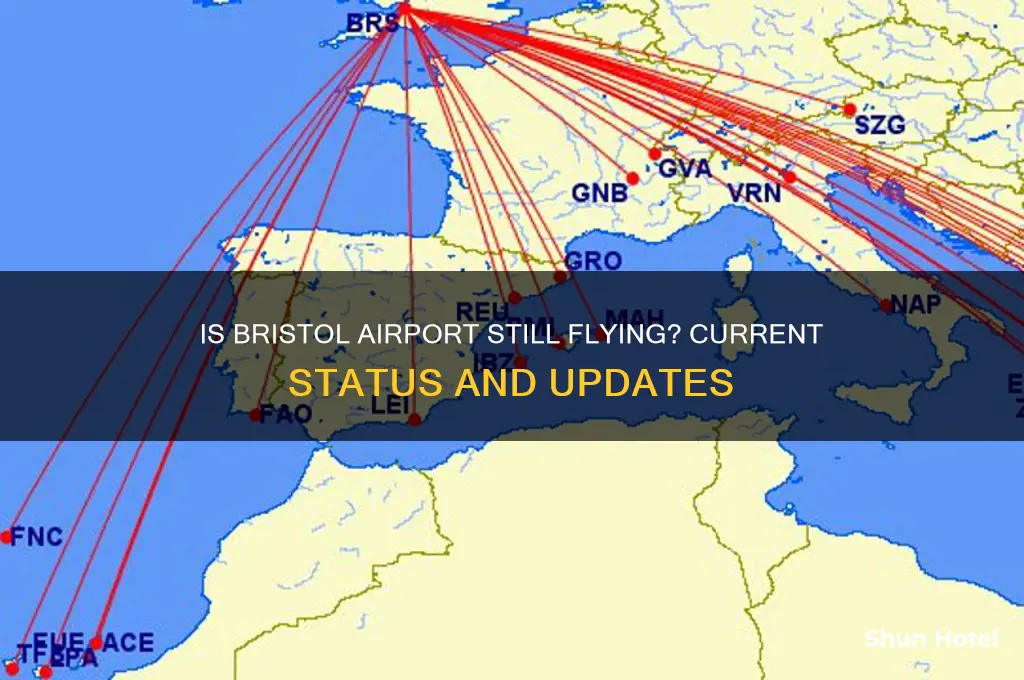 is bristol airport still flying