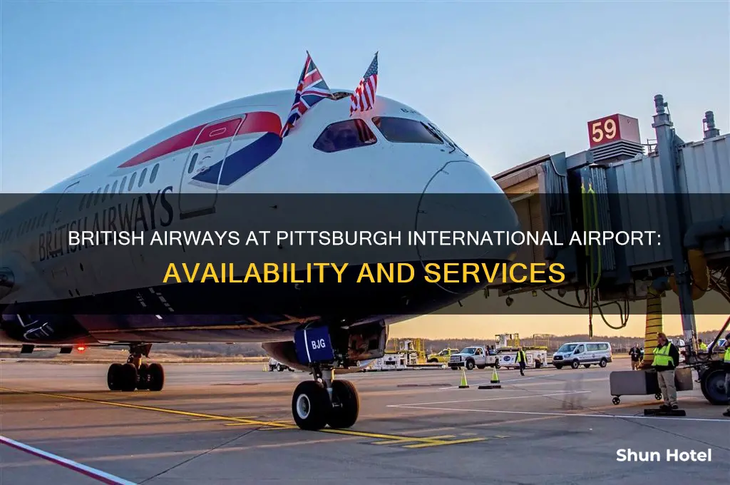 is british airways at pittsburgh international airport