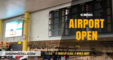 Is Brussels Airport Open? Current Status and Travel Updates