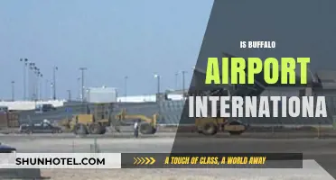 Buffalo Airport: International Status, Flights, and Global Connectivity Explained