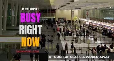 BWI Airport: Current State of Busyness and What to Expect