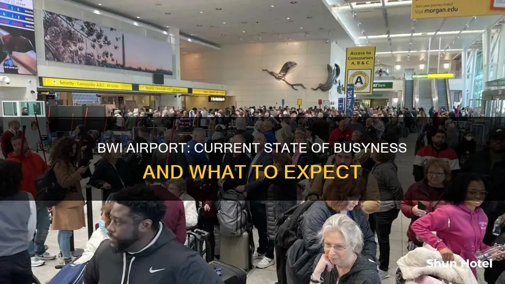 is bwi airport busy right now