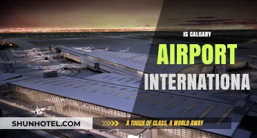 Calgary Airport: International Hub or Domestic Gateway? Exploring YYC's Status