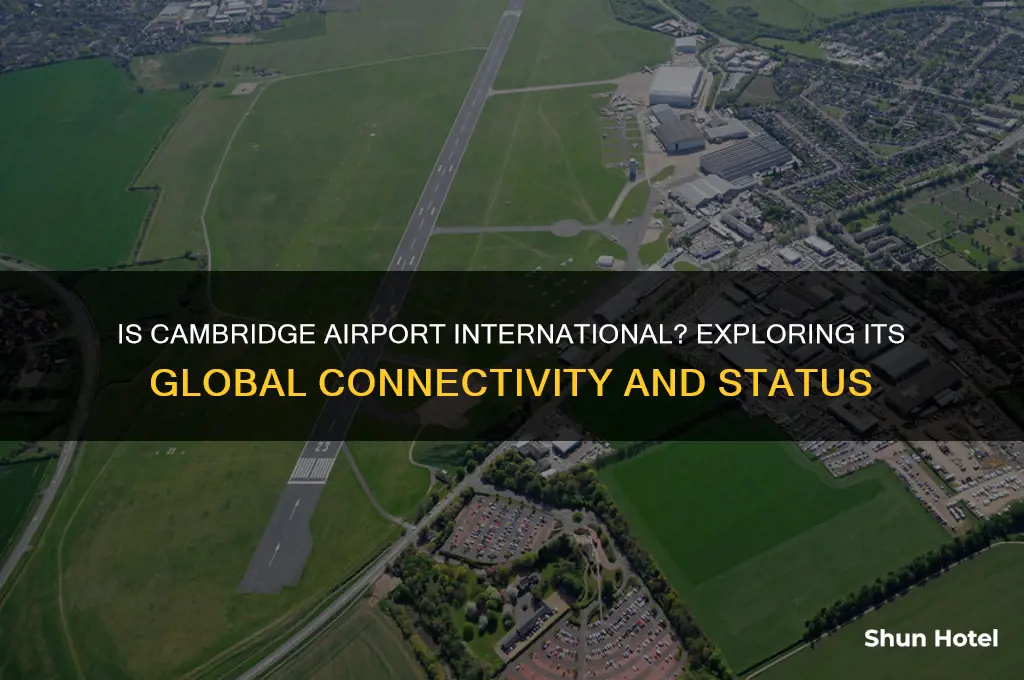 is cambridge airport international