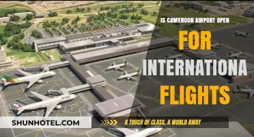 Cameroon Airport International Flights: Current Status and Travel Updates
