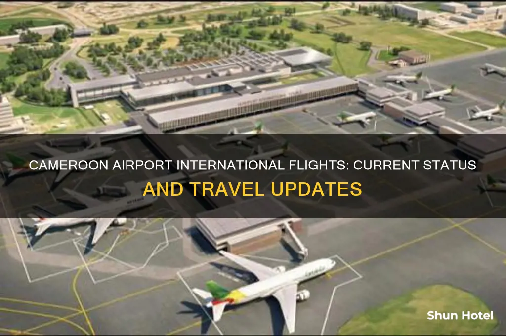 is cameroon airport open for international flights