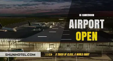 Is Cameroon Airport Open? Latest Updates and Travel Information
