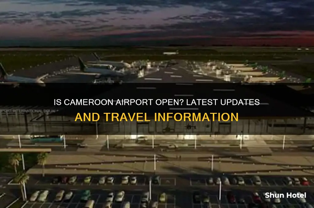 is cameroon airport open