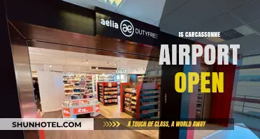 Is Carcassonne Airport Open? Current Status and Travel Updates