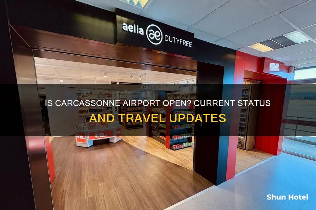 is carcassonne airport open