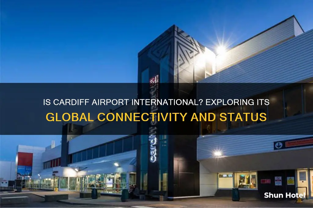 is cardiff airport international