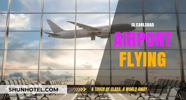 Is Carlsbad Airport Operational? Exploring Its Current Flight Status