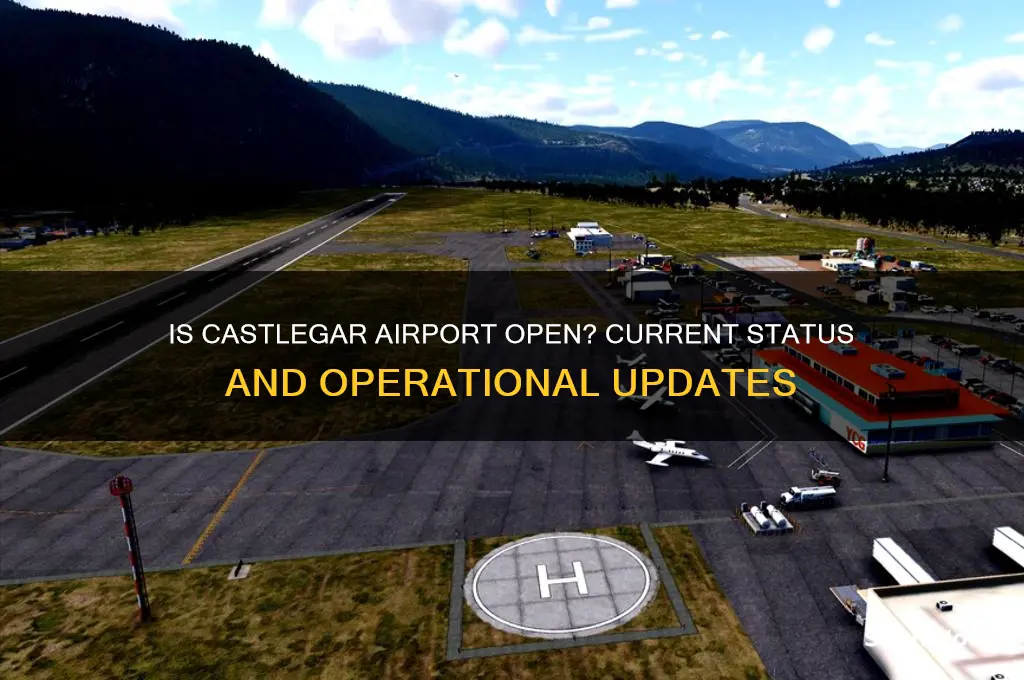 is castlegar airport open