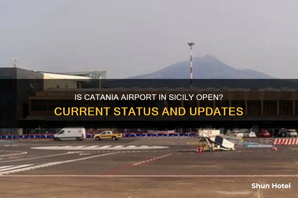 is catania airport in sicily open