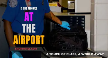 CBD at Airports: What You Need to Know