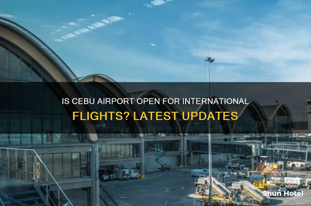 is cebu airport open for international flights