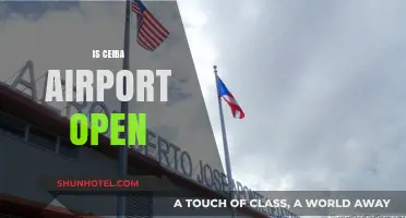 Is Ceiba Airport Open? Current Status and Travel Updates