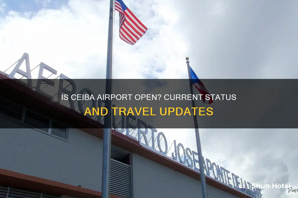 is ceiba airport open