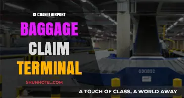 Navigating Changi Airport: A Guide to the Baggage Claim Terminal
