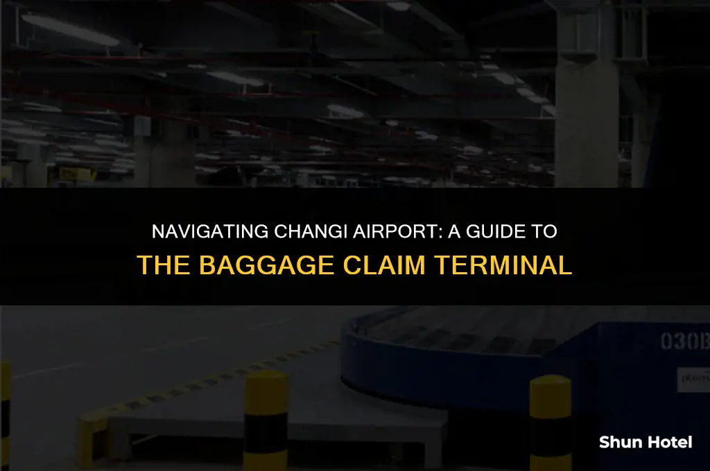 is changi airport baggage claim terminal