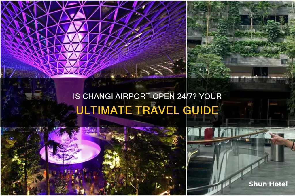is changi airport open 24 hours