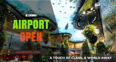Is Changi Airport Open? Current Status and Travel Updates