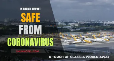 Changi Airport's Battle Against Coronavirus