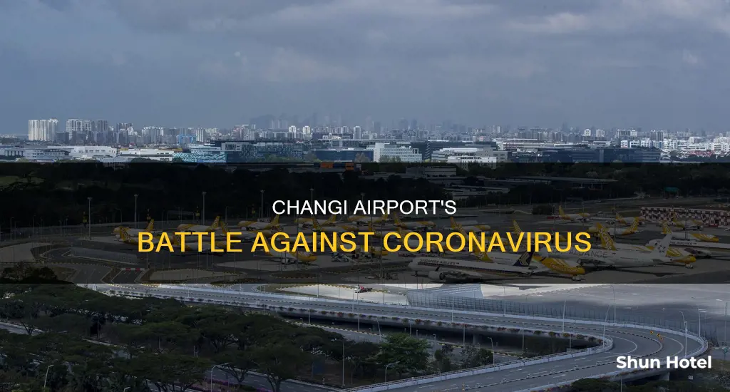 is changi airport safe from coronavirus