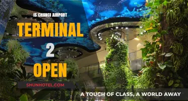 Is Changi Airport Terminal 2 Open? Latest Updates and Info