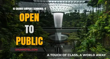 Changi Airport Terminal 4: Public Access and Current Status Explained
