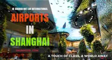 Changi Airport: Singapore's Hub, Not Shanghai's International Gateway