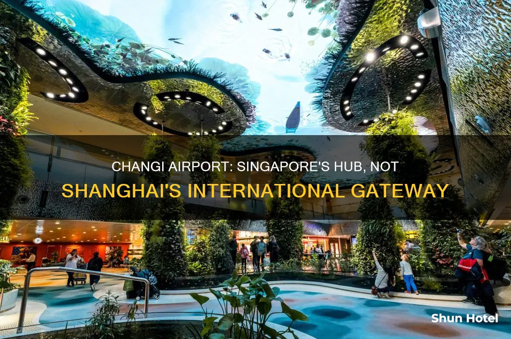 is changi not an international airports in shanghai
