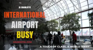 Is Charlotte International Airport Busy? Exploring Passenger Traffic and Trends