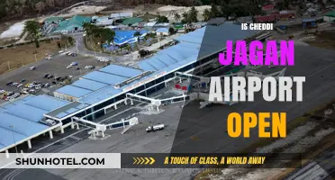 Is Cheddi Jagan Airport Open? Current Status and Updates